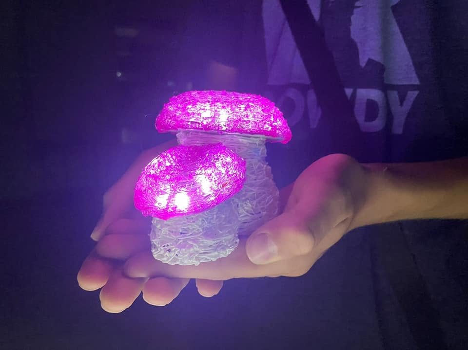 Светящийся проект, сделанный 3D-ручкой на лагере Digirobo